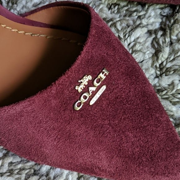 Coach wine suede pointed toe flats - Picture 9 of 10
